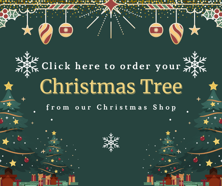 Link to our Christmas Shop